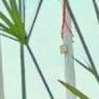 La torre con su reloj, es un emblema de este pueblo manabita.