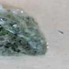 Miles de dosis de marihuana, H y otras drogas fueron confiscadas a supuestos microtraficantes.