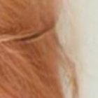 Marcela Fabara tuvo una relaci{on con Carlos José Matamoros