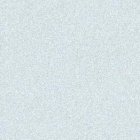 Cesa fue participante del Festival de Viña del Mar en 2018 en donde se llevó una gaviota, máximo galardón.