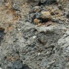 Luis y uno de sus hijos se dedican a lavar el lodo que extraen de la tierra para hallar el oro.