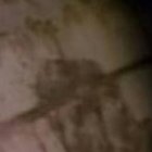 La Roja asegura que Mejía no tiene derecho a criticarla