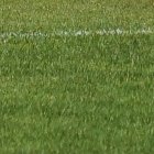 n el homenaje, la futbolista Paula Dapena (6) se sentó de espaldas.