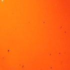 El artista está feliz por las tres canciones que lanzó en este 2020.