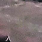 Clientes de una compañía de transporte fueron víctimas de un robo