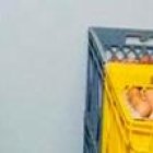 El sitio incumplía con el artículo 146 de la Ley Orgánico de Salud, que prohíbe la manipulación de alimentos en condiciones no higiénicas.