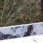 El vehículo pesado se desbarrancó 20 metros.