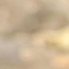 A los 16 años fue presentadora de un espacio de variedades en un canal de Babahoyo.