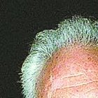 Diego Armando Maradona junto a su amigo Guillermo Coppola, en una foto del año 2000.