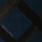 El 30 de diciembre de 2020, se abstuvo a Gabriela Pazmiño en la investigación por delincuencia organizada.