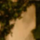 La empresaria está decidida a tener hijos y aseguró que podrá elegir el sexo de sus bebés.