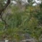 Entrada al poblado donde los fanáticos se encerraron en una casa.