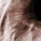 Referencia. Cuando los agentes policiales llegaron al hotel hallaron a un adolescente ahorcado.