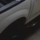 Delincuentes disfrazados de agentes de la Policía Judicial asaltaron una avícola en el noroeste de Guayaquil