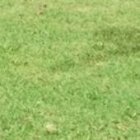 El Trencito ha realizado una pretemporada enfocada en su debut en la Libertadores. Juan Manuel Tévez (d) es una de sus cartas de gol.