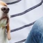 Efraín Ruales le creó una cuenta de Instagram a Jagger en la que logró acumular 116 mil seguidorers.