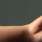 Denisse Angulo y Yuleysi Coca subieron fotos y videos del romántico momento a sus redes sociales.