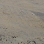 En medio de la vía quedó un pequeño hueco como efecto de la detonación controlada del artefacto. 

PERIODISTA :MIGUEL PARRAGA

FECHA : 23/02/2021 

Agencia (ag-extra)