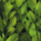 La pandemia convirtió a Dayana Morán en una súper mujer. Hoy distribuye su tiempo entre sus roles de trabajadora, mamá, empresaria y esposa.