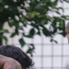 Sergio López, Bruno Piñatares y Gonzalo Mastriani listos para jugar ante el Guayaquil City.