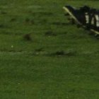 Barcelona lleva 3 partidos ganados, en los 3 ha hecho 3 goles.