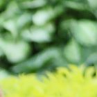 Gabriela ha dicho en distintas entrevistas que su pasión es la comunicación.