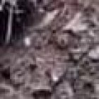 Así quedó el vehículo en el que se movilizaban los tres ciudadanos.