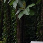 El cuerpo fue llevado a la morgue. A los propios agentes policiales le causó horror el suceso.