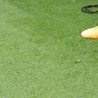 José Carabalí, Michael Estrada, Jhonny Quiñónez, José Angulo y Walter Chalá en el entrenamiento.