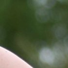 La gringa está de paso por Ecuador. Estará un mes y medio concretando proyectos laborales.