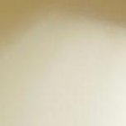 El documento fue presentado en la secretaría de la municipalidad.