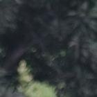 Emelec no jugará la fecha 11, era el Clásico y quedó suspendido.