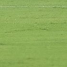 Emelec, de local, venció a Bragantino.