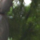 26042021 DON DAY EN GUAYARTE 26 DE ABRIL DEL 2021