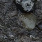 El cadáver quedó sobre las rocas que están en el río Chiche. Los bomberos organizaron equipos de rescate para la extracción.