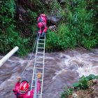 Los bomberos usaron una escalera para llegar al animal.