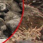 El acusado fue sentenciado a un pago de indemnización para la "reparación integral del daño causado a la víctima", en un monto establecido de 639.100 dólares.