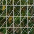 Johan Padilla va por su segunda temporada en Delfín.