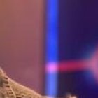 El reportero suele adivinar el sexo de los bebés