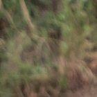 Barcelona y su regreso a los entrenamientos.