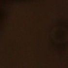 Todas las noches, la modelo se reúne a través de la plataforma de zoom, con su familia para orar por la salud de su pequeña.