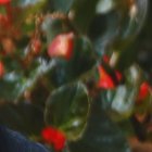 Es una cantante, actriz y presentadora de televisión ecuatoriana, conocida por formar parte del grupo musical femenino Kandela & Son.