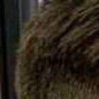 Lionel Messi quiso verse pintero ante Ecuador.