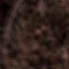 Bruno Piñatares haciendo pesas en el entrenamientos de Barcelona.