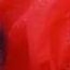 Los animalitos estaban encerrados en una funda plástica.