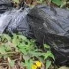 Cadáver fue hallado metido en unas fundas negras, en Guayaquil.