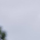 Nixon Molina y Bruno Piñatares entrenando para el partido ante Fluminense.