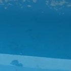 Internos adecuaron el área y lo transformaron en una piscina. En este mismo espacio también se observa dibujada sobre una pared imágenes alusivas a organizaciones criminales