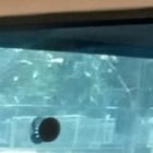 Agentes de la Policía junto a armas, dinero y otros objetos requisados en el reclusorio.