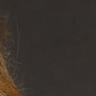 La actriz mantiene informado a sus seguidores de Instagram, sobe los avances en su salud.